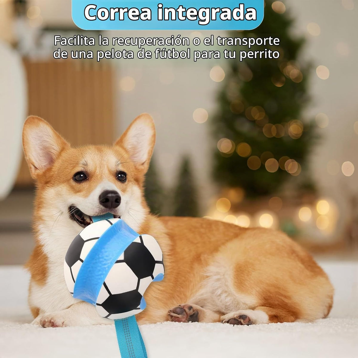 Eneston Pelotas de juguetes para perros, pelota de fútbol interacti...