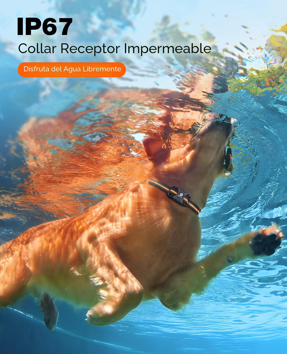 Bousnic Collar de choque para perro, collar de entrenamiento para p...