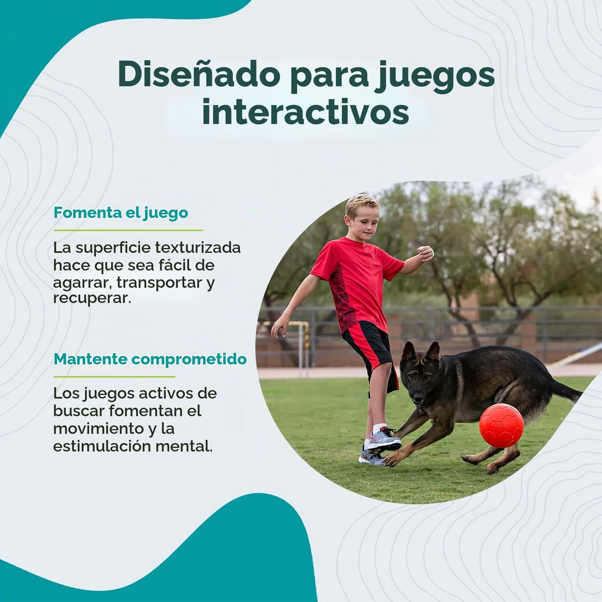 Juguete para perros Jolly Pets de gran pelota de fútbol flotante y...
