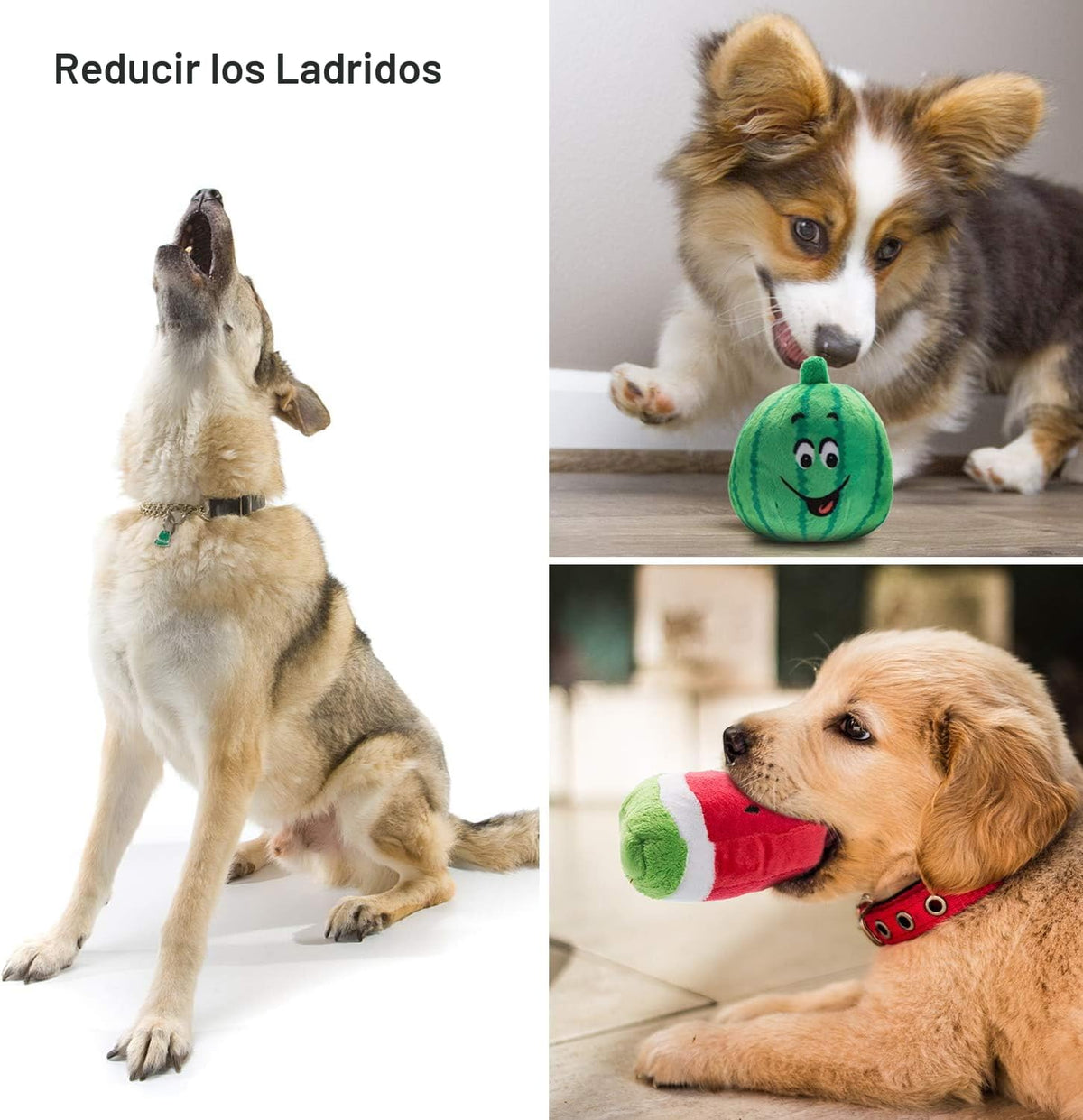 Nocciola Juguetes chirriantes para perros, juguetes de peluche para...