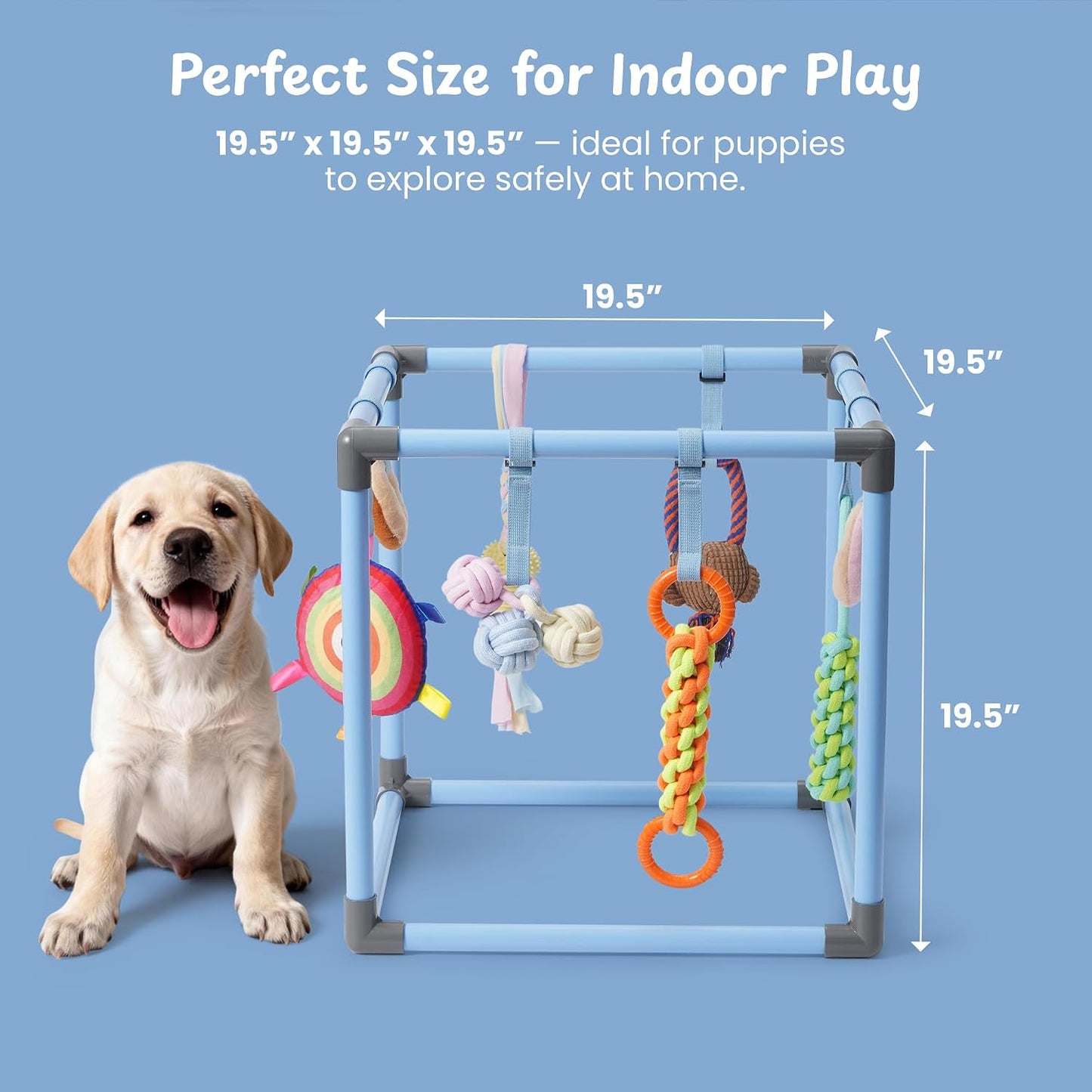 Nocciola Gimnasio de juego para cachorros con 8 juguetes colgantes,...