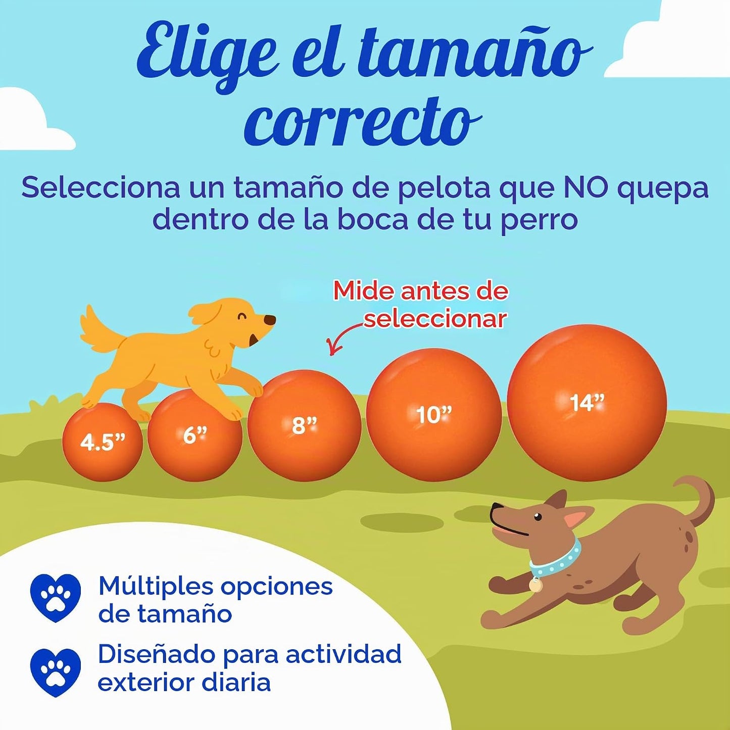 Prácticamente indestructible (duro), mejores pelota para perros