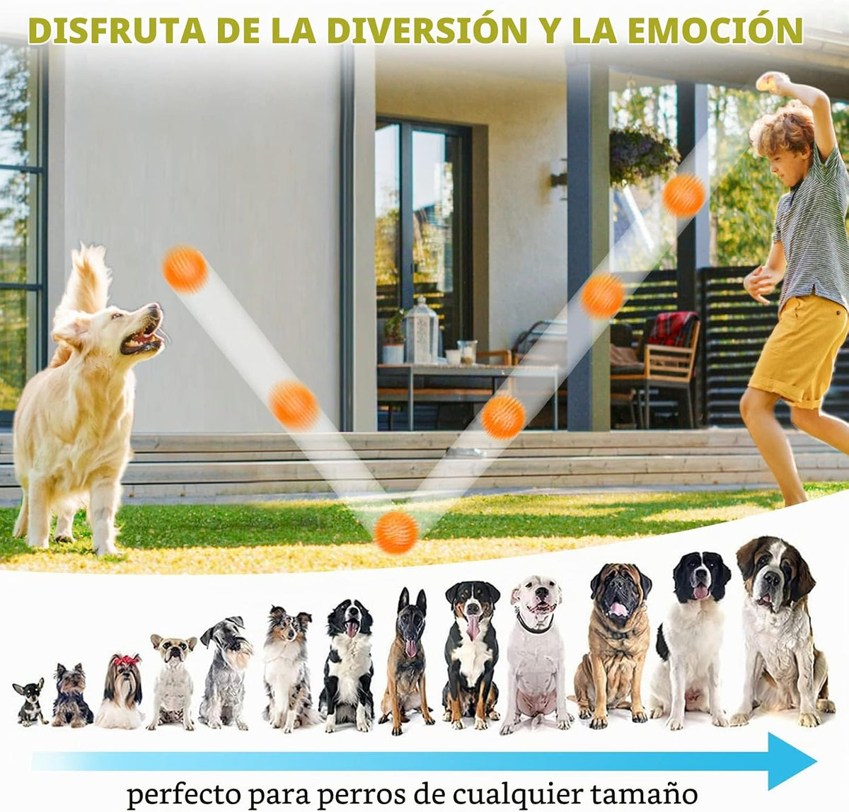 SHARLOVY Pelota de juguetes para perros grandes de 3.5", paquet...