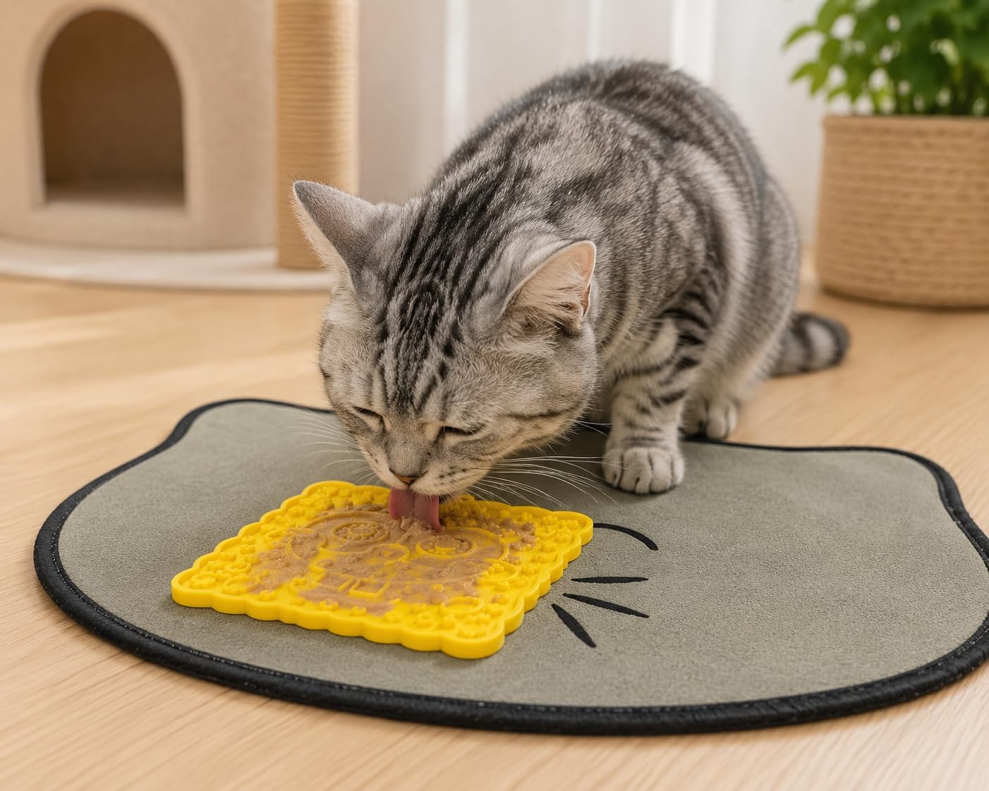 Kit de iniciación felino de 10 piezas para nuevos dueños de mascota...