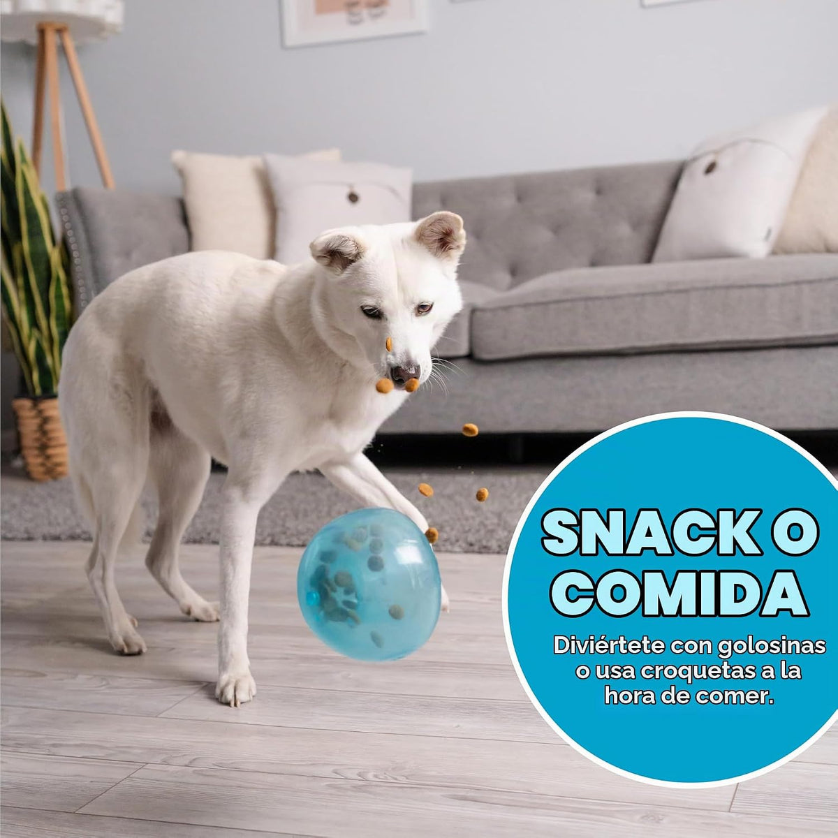 Planet Dog Orbee-Tuff Snoop - Juguete interactivo dispensador de pr...