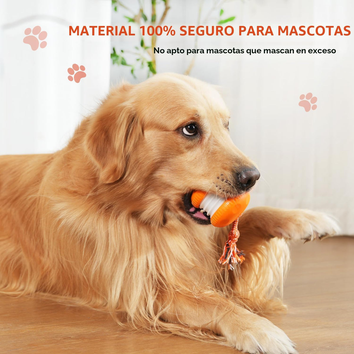 QGI Pelota interactiva para perros, juguete eléctrico para perros m...