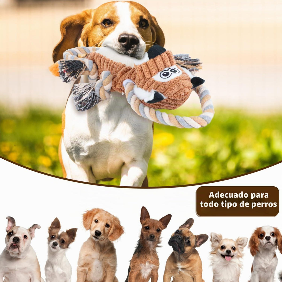 CneeeeeB Juguetes Chirriantes para Perros Interactivos Duraderos co...