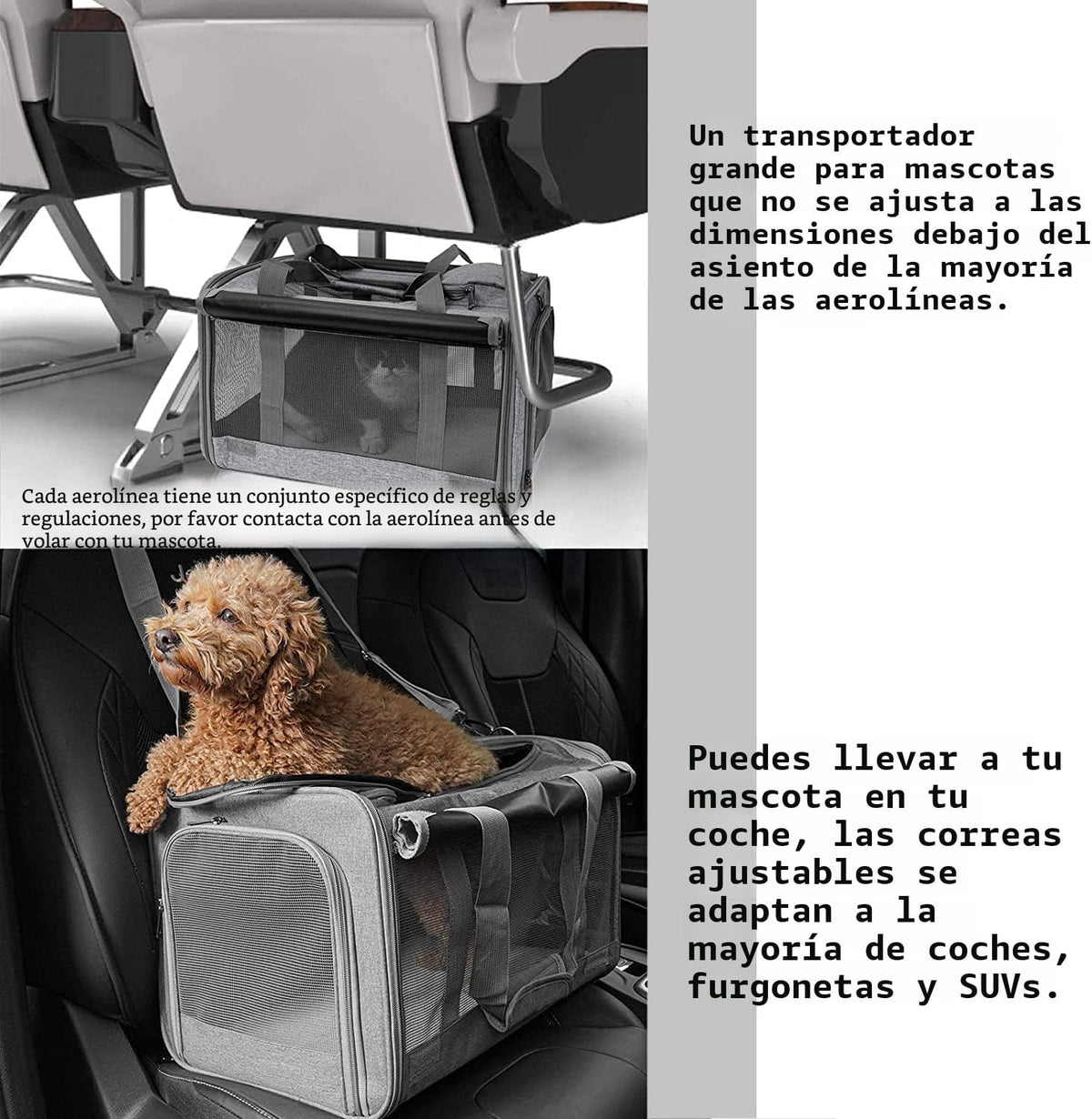 GAPZER Transportín para mascotas para gatos grandes, transportín pa...