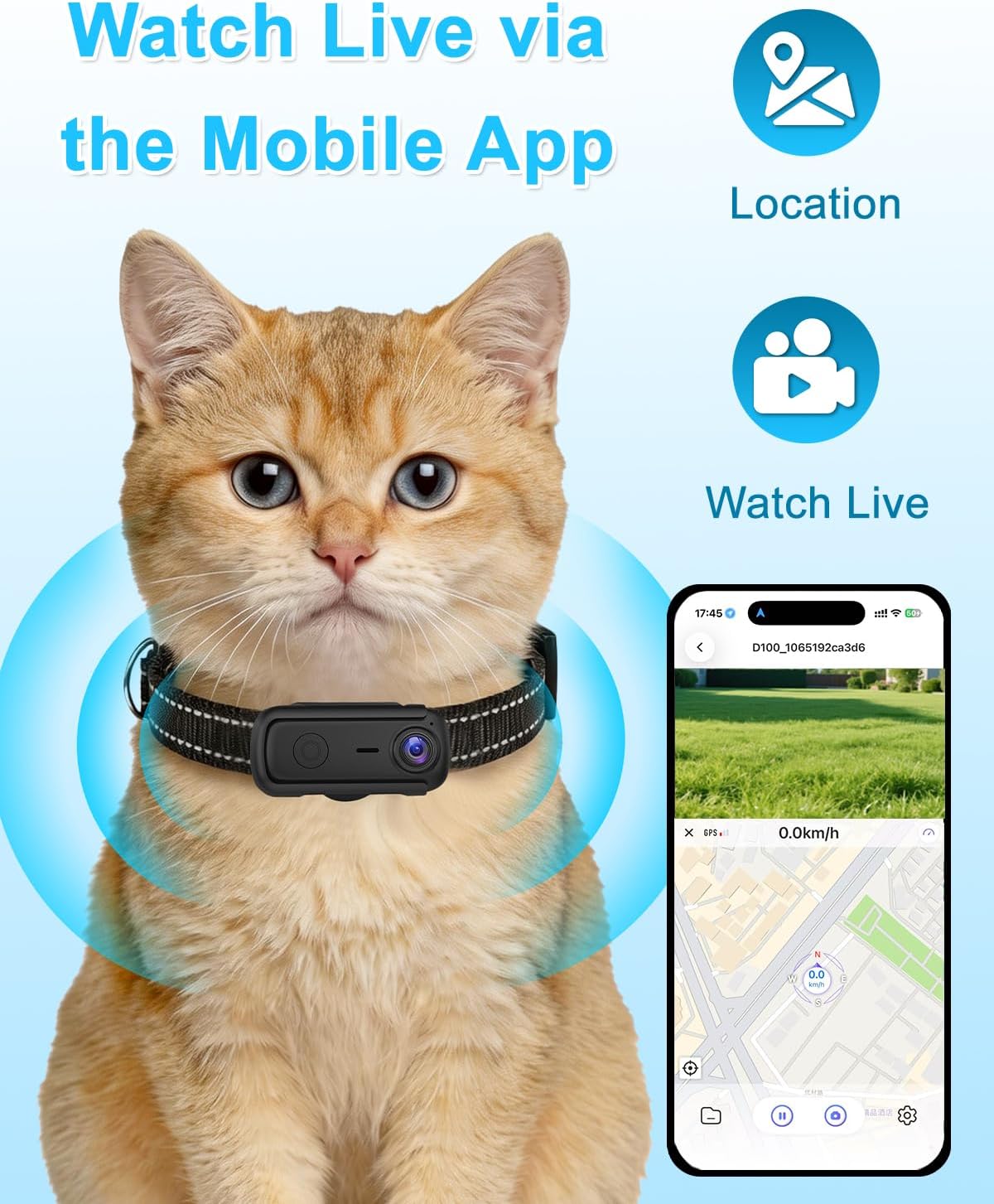 Collar de cámara para gatos con aplicación de teléfono y grabación...