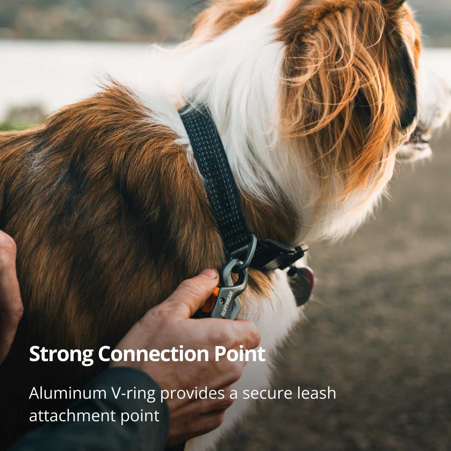 Ruffwear, Ridgeline - Collar para perro, correa reflectante, hebill...