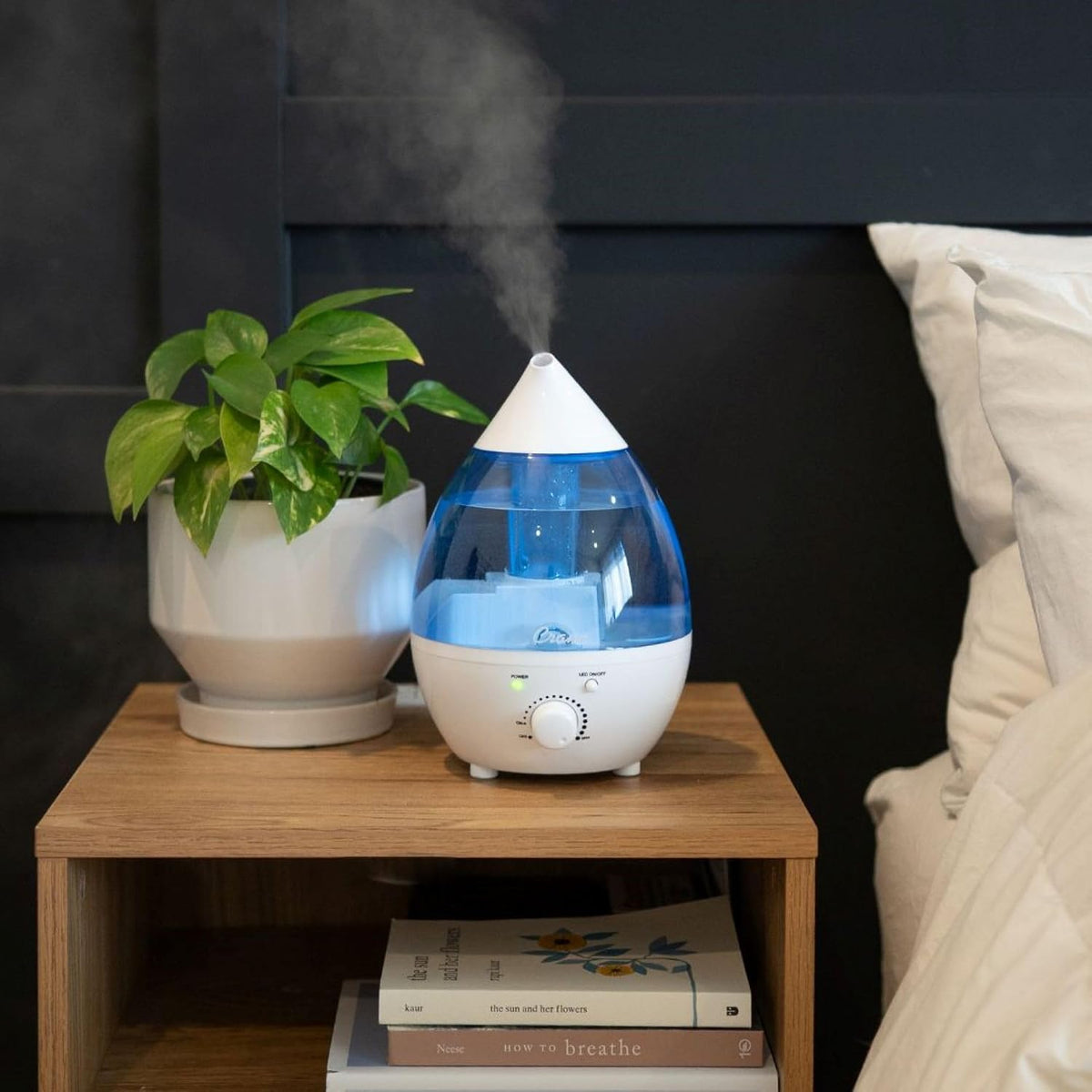 Crane Humidificador ultrasónico personal de niebla fría de 1.3 litr...