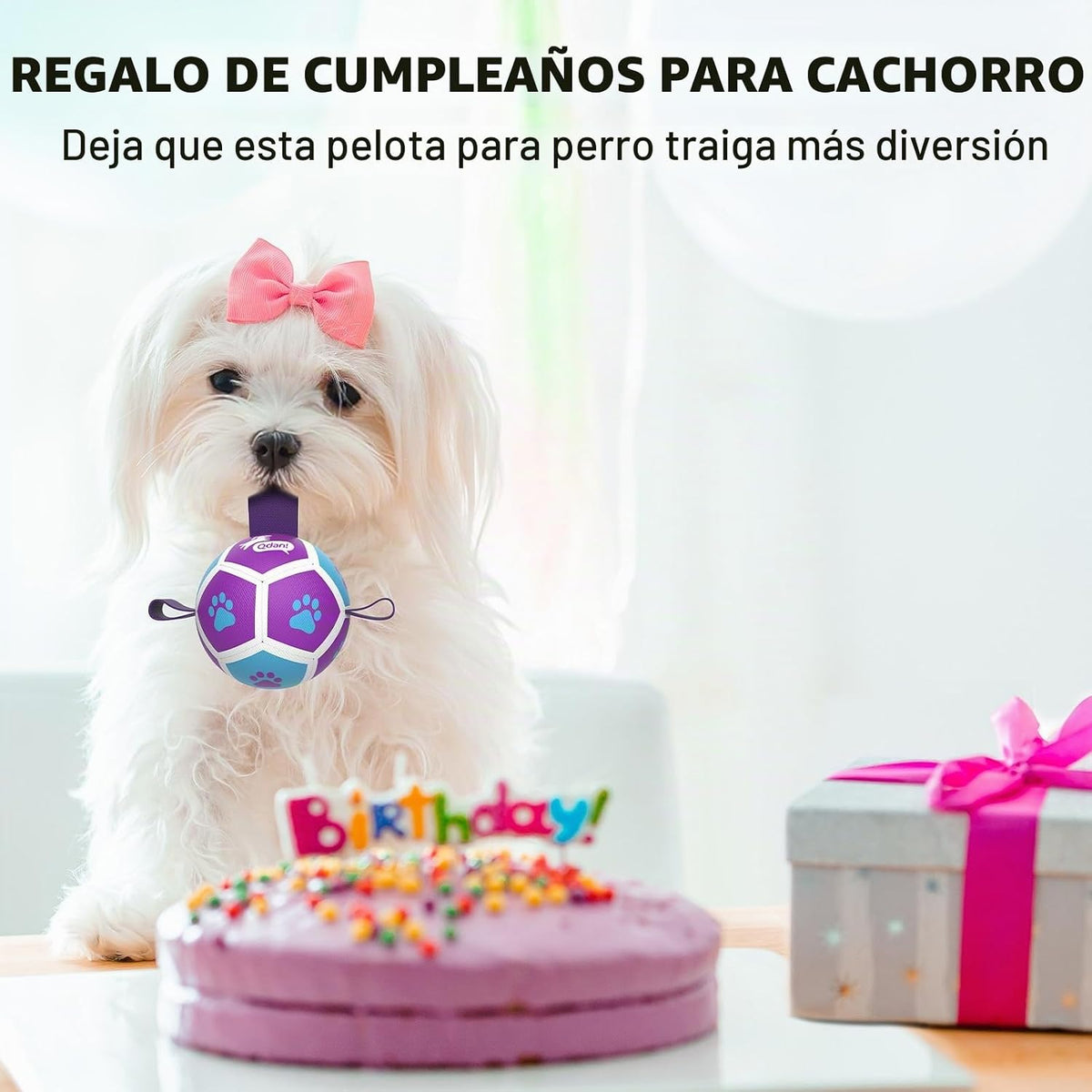 QDAN Juguetes para perros pequeños, pelotas para cachorros, pelotas...