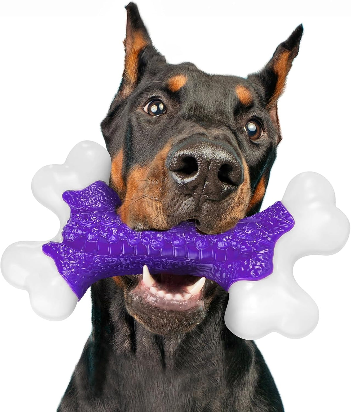 Kseroo - Juguetes duros para perros masticadores agresivos de raza...