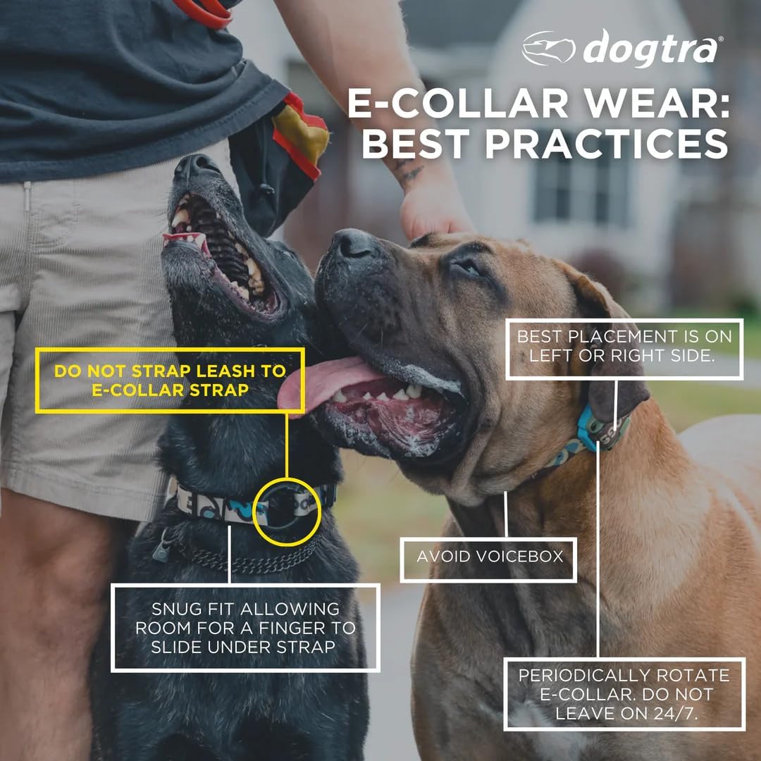 Dogtra E-Collar Tom Davis 280C 2.0 [Edición 2025], Boost &amp; Lock...