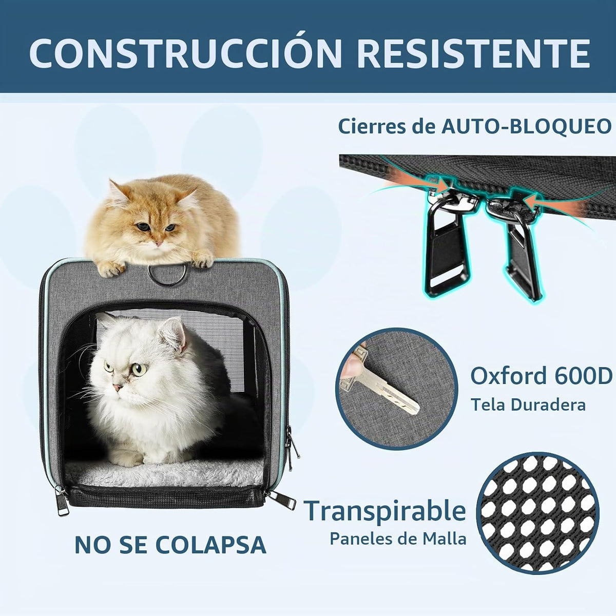 GAPZER Transportín para Gatos Aprobado por Aerolíneas American, Uni...