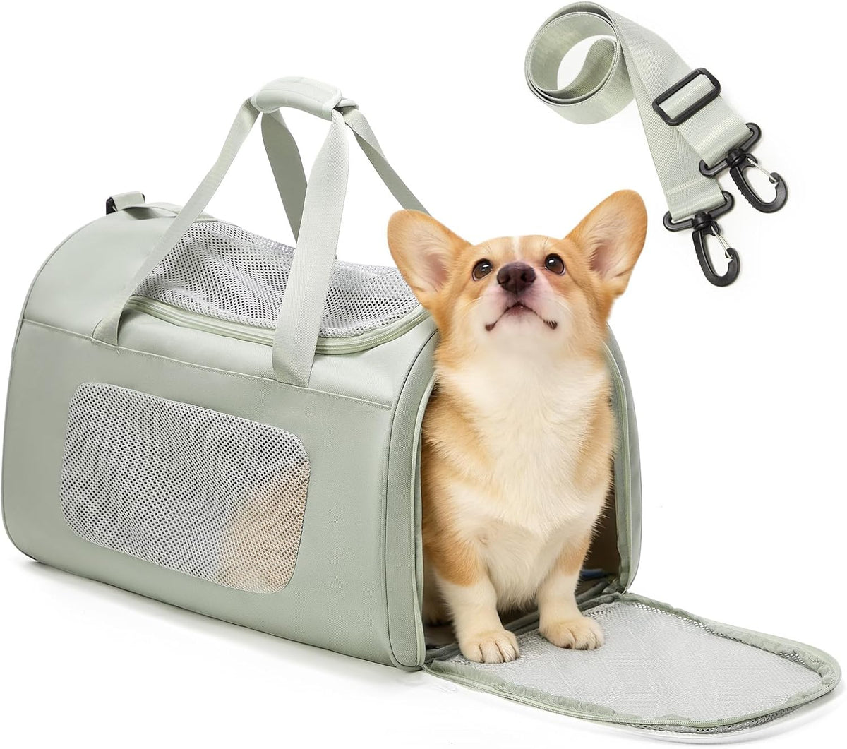 WEPLAN Estuche de transporte extragrande para gatos y perros, bolsa...