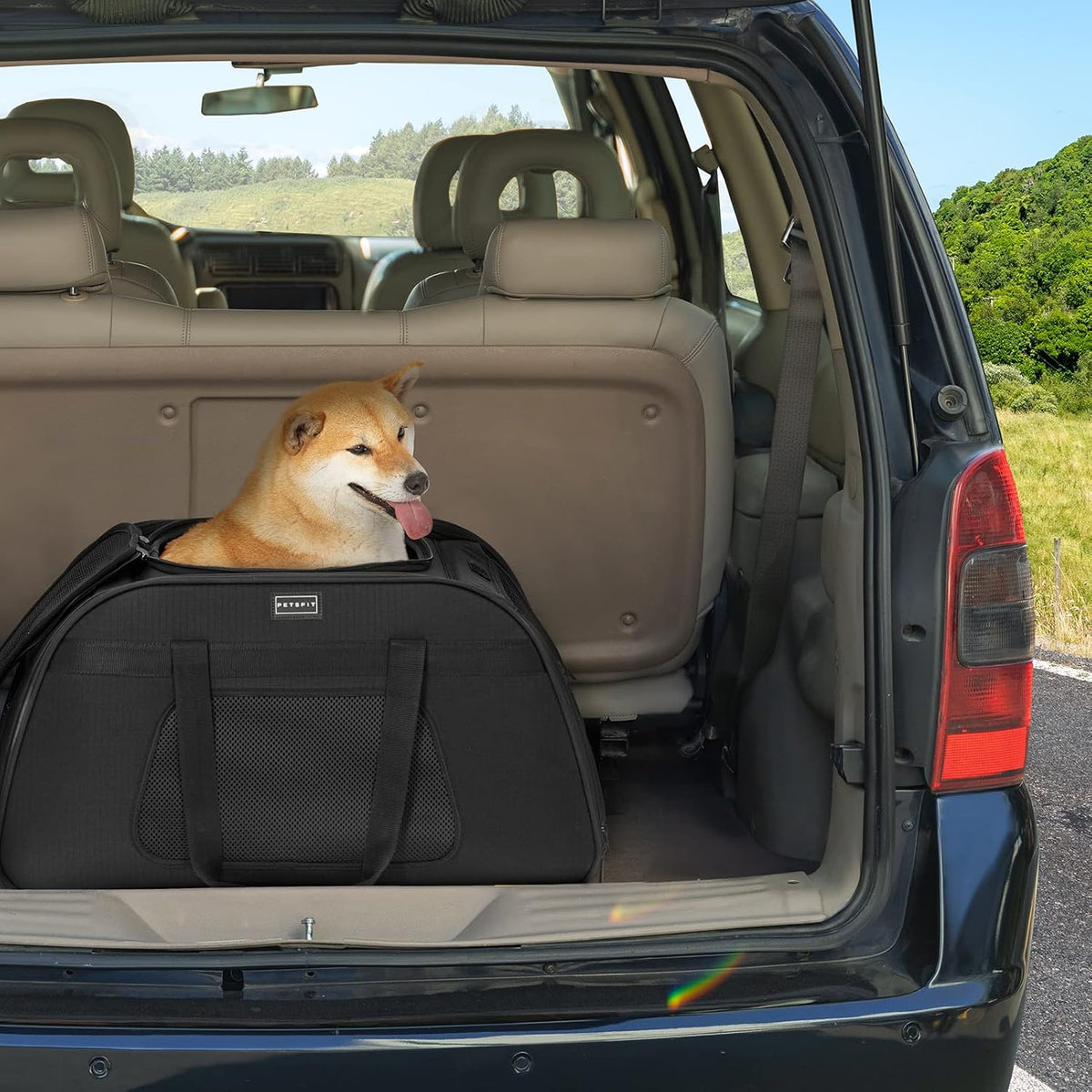 PETSFIT Transportador Extra Grande para Mascotas con Ruedas - Trans...