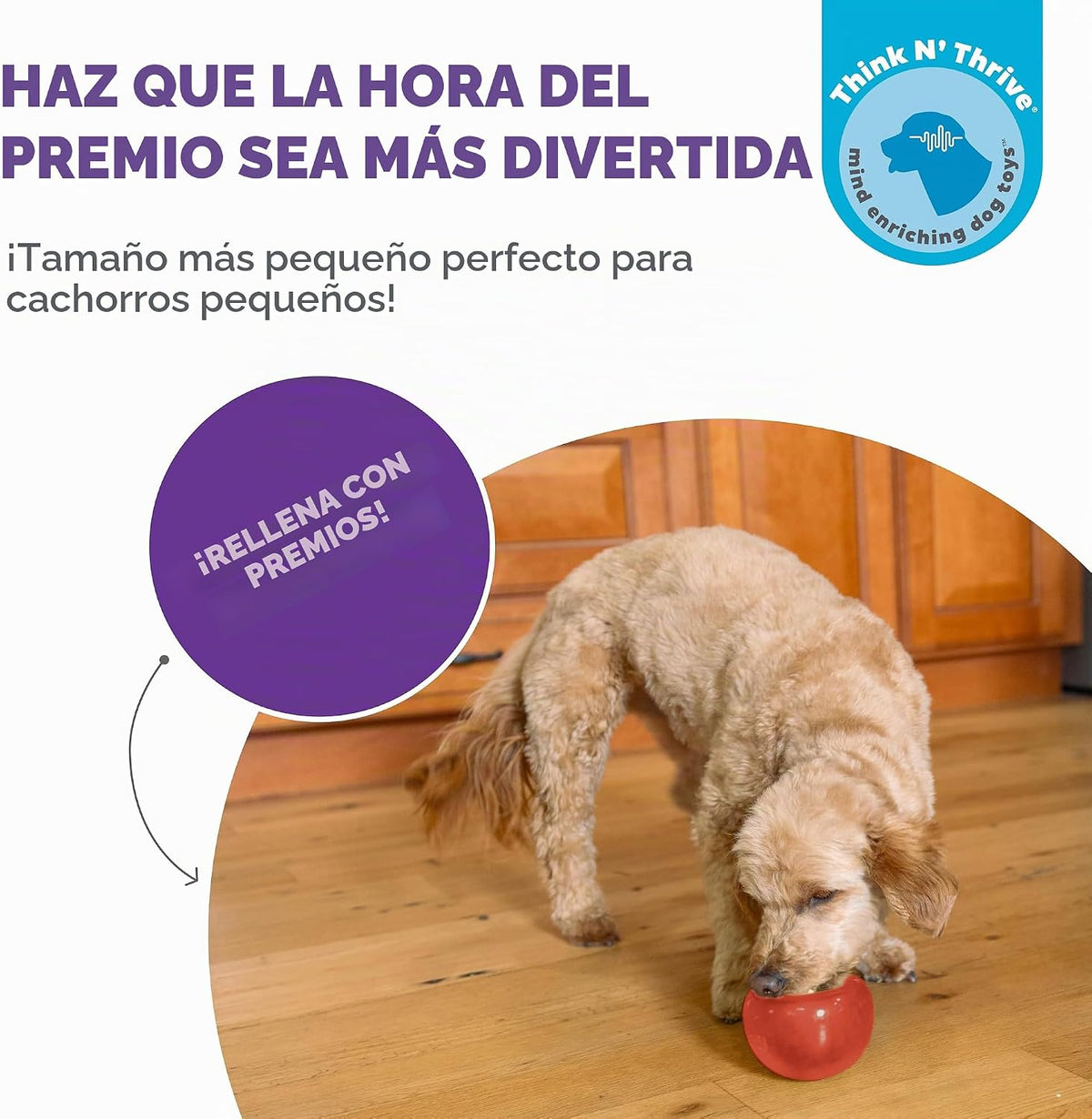 Planet Dog Orbee-Tuff Lil' Snoop - Juguete interactivo para per...