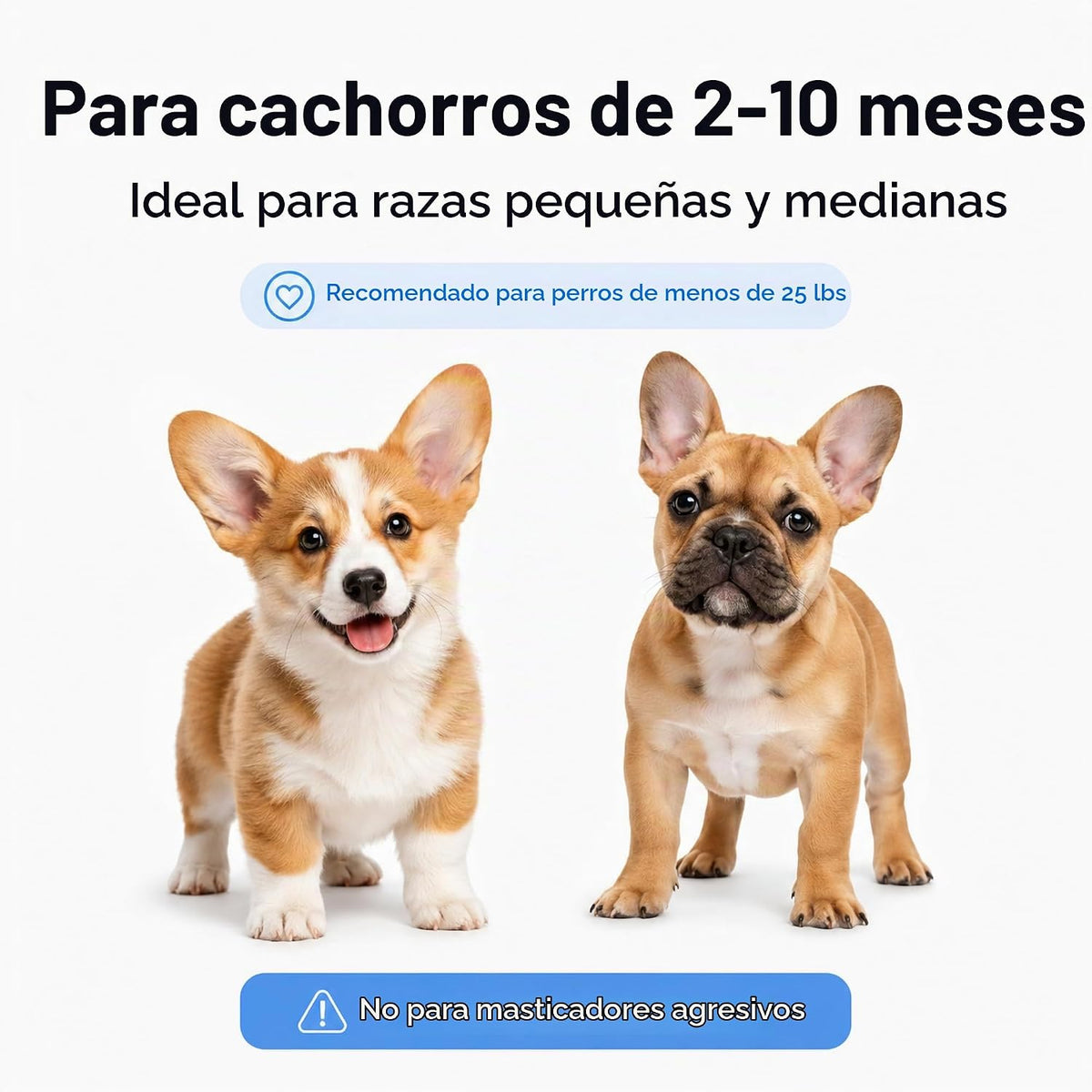 Miventra Juguetes masticables para cachorros, paquete de 6, juguete...