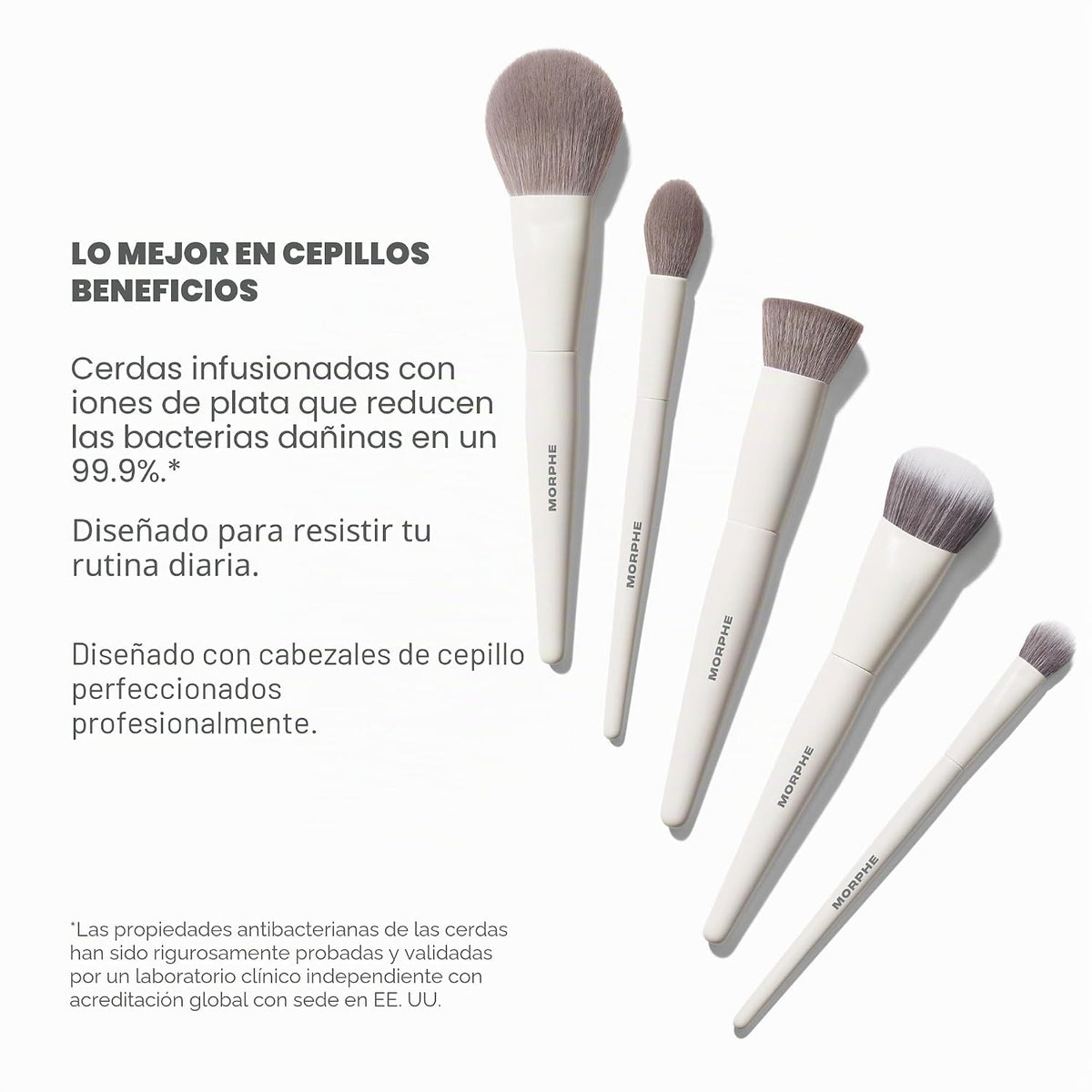 Morphe Portrait Mode - Juego de 5 brochas de maquillaje profesional...