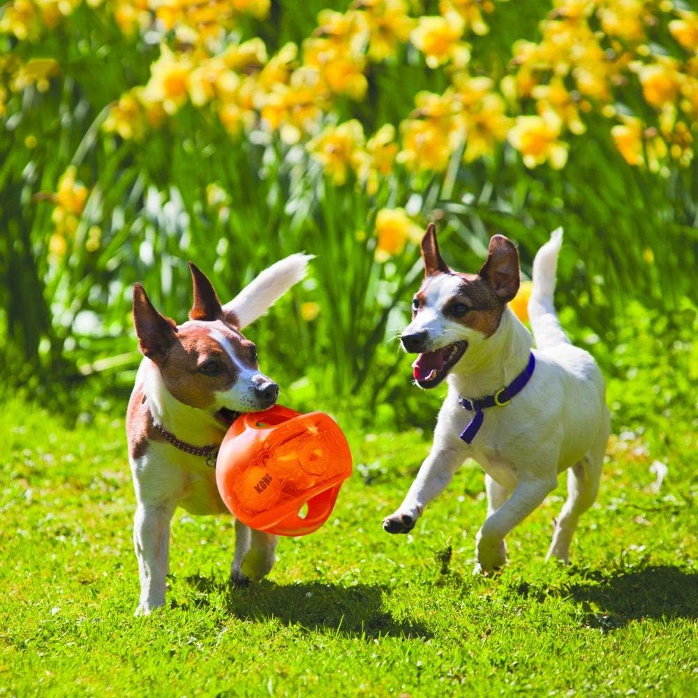 KONG Jumbler Ball - Juguete interactivo para tiempo de juego de per...