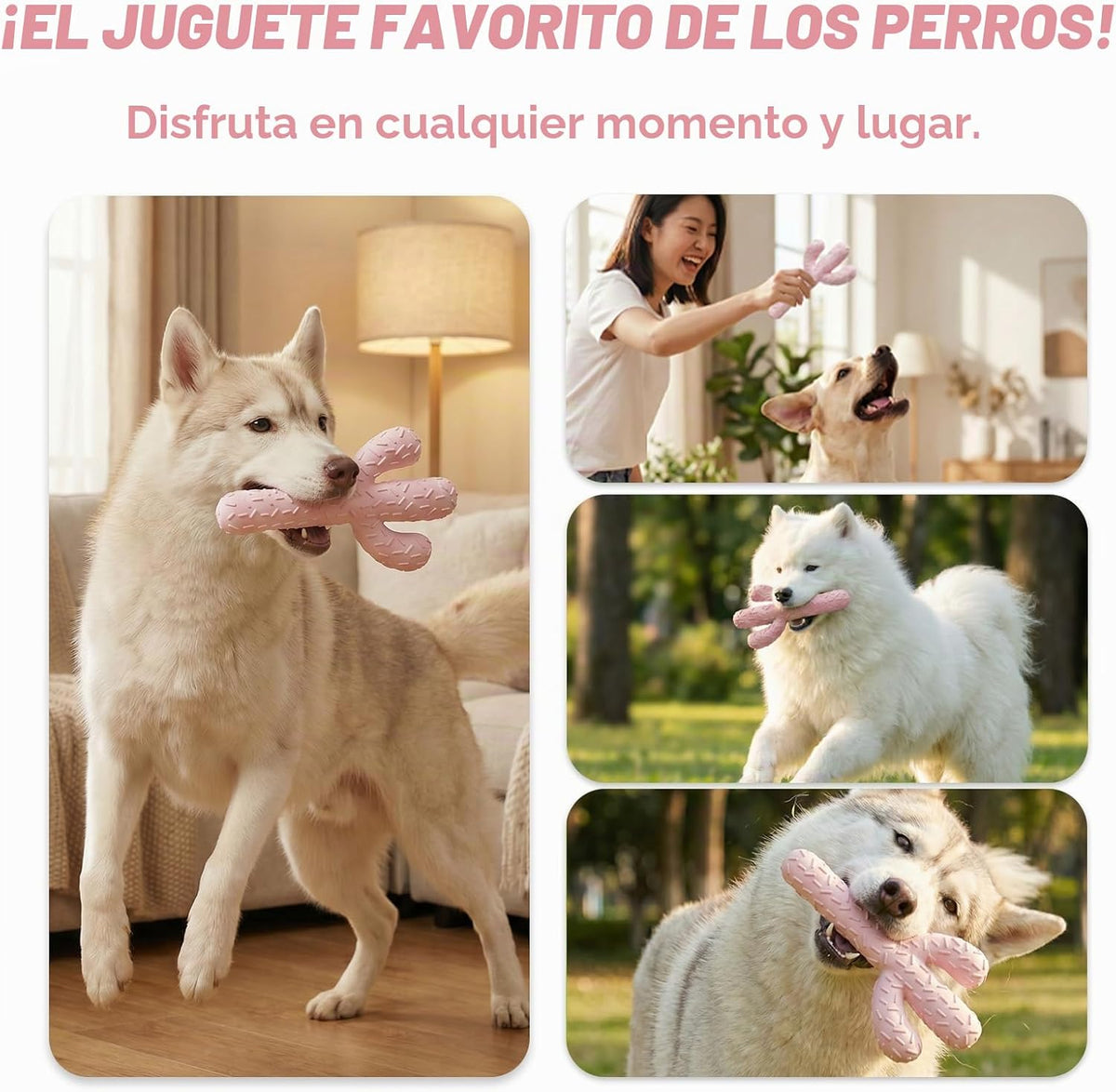 MewaJump Juguetes masticables para perros, juguetes de goma resiste...