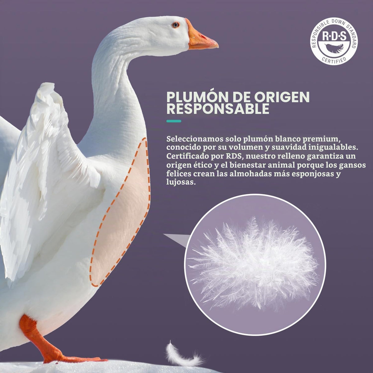 PlushHavenCloud Almohada de plumón de ganso blanco, almohada de luj...