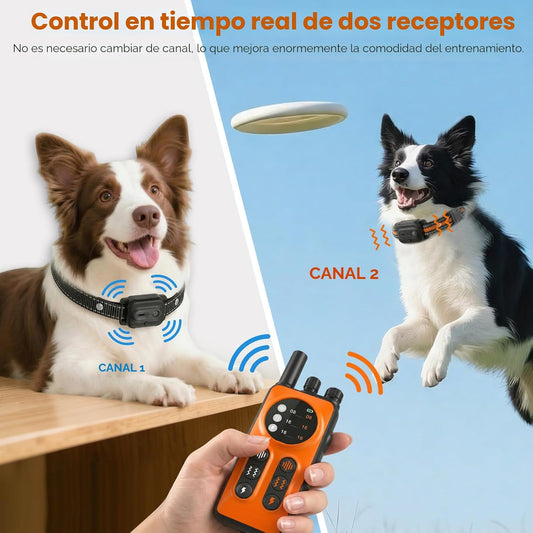 Collar de choque para perros, collar de entrenamiento para perros d...