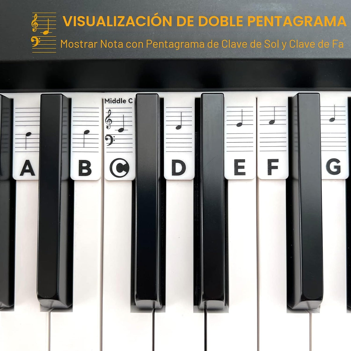 BEATBIT Guía de notas de piano para principiantes, etiquetas extraí...