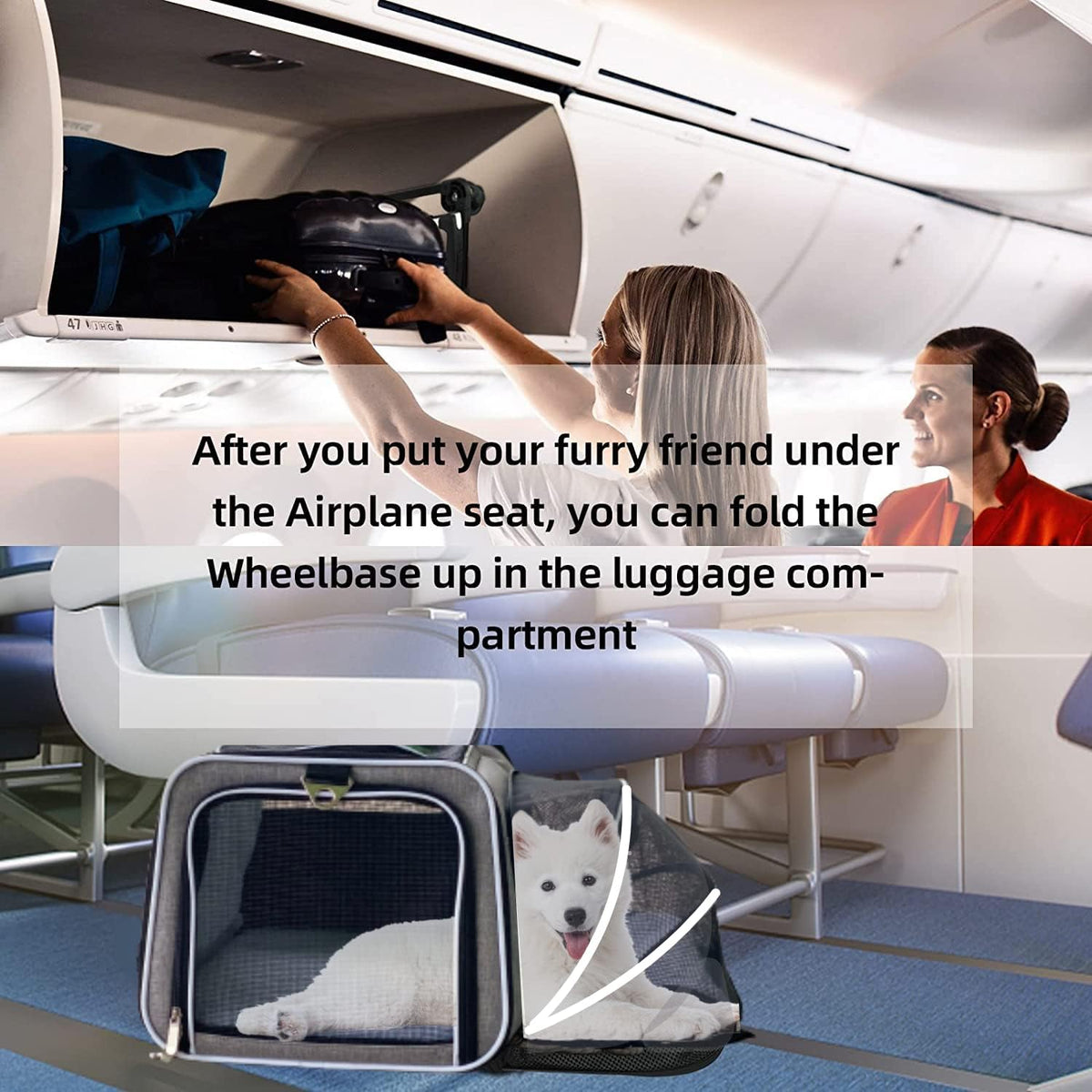 RUFF LIFE 101 Transportador de mascotas Premium expandible con rued...