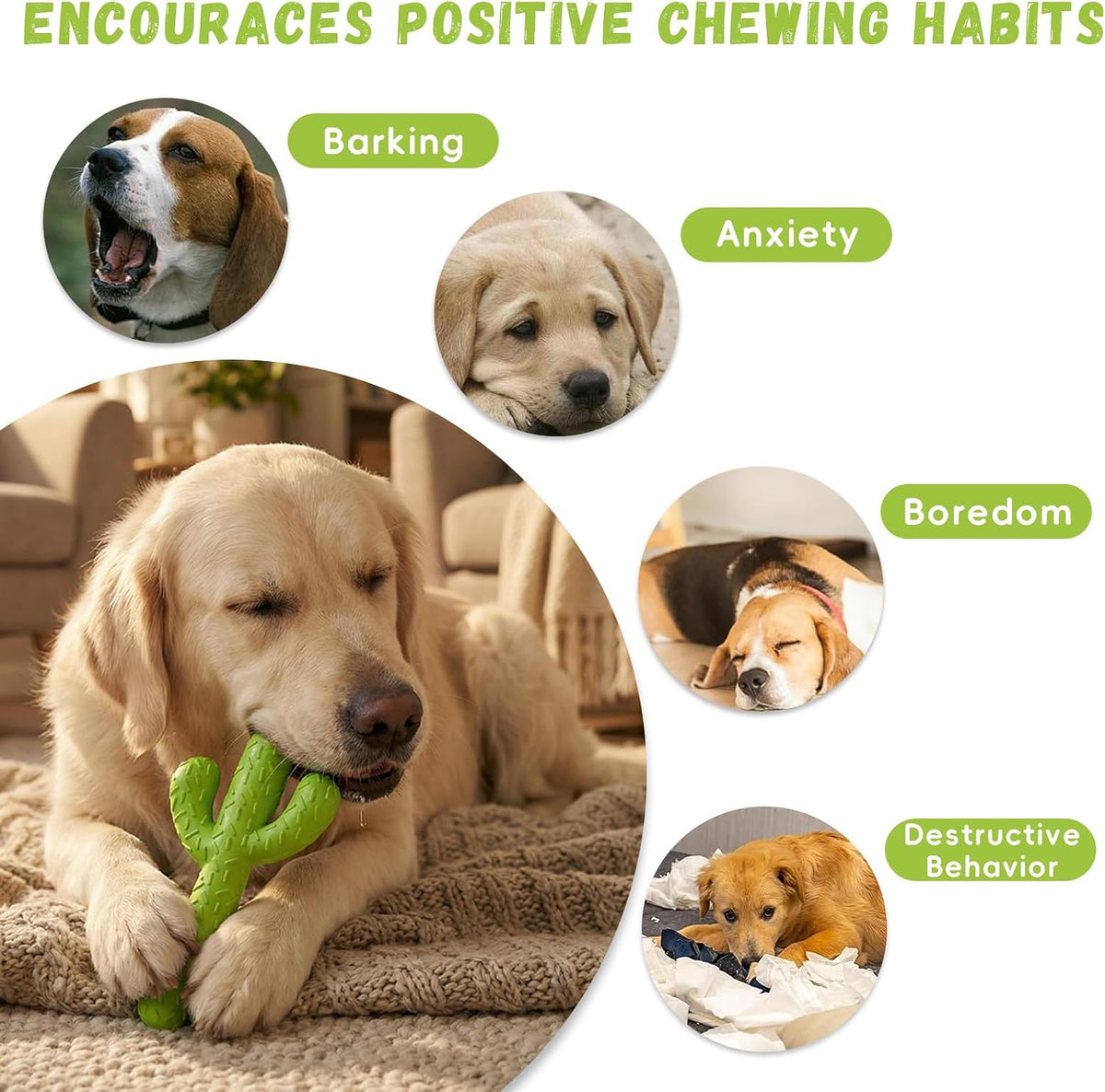 MewaJump Juguetes masticables para perros, juguetes de goma durader...