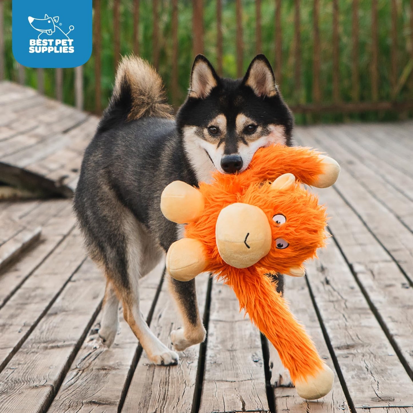 Best Pet Supplies - Juguetes para cachorros y perros adultos, cruje...