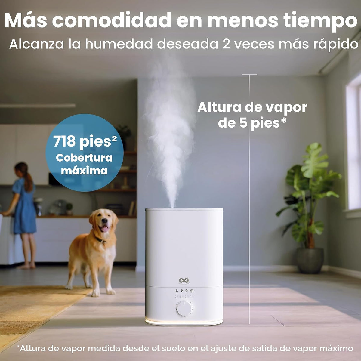 Everlasting Comfort Humidificador grande de 6L para dormitorio, 28...