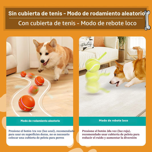 PetDroid Juguetes interactivos para perros, [recientemente actualiz...