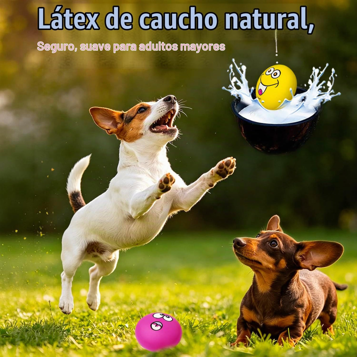 HOLYSTEED Juguetes chirriantes de látex para perros pequeños, mini...
