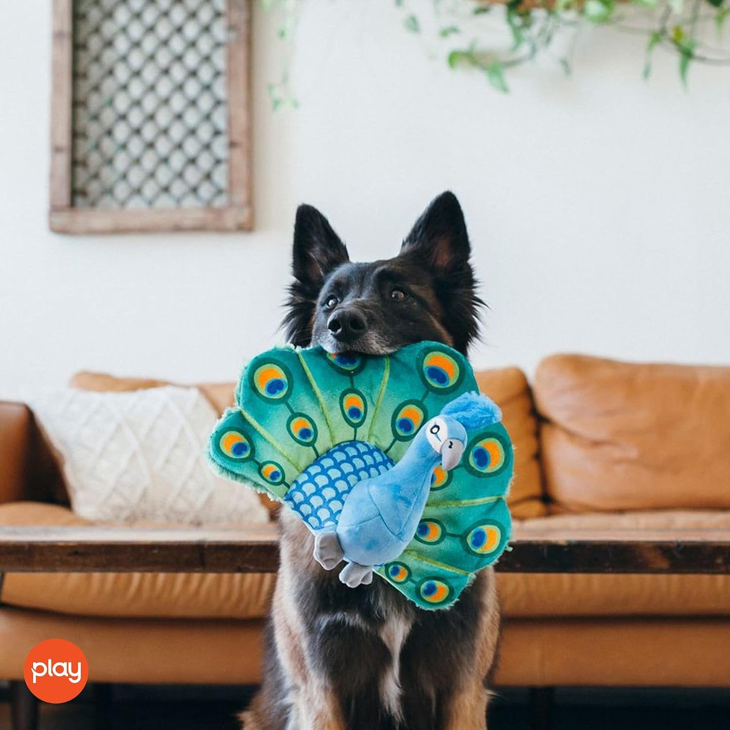 P.L.A.Y. - Bonitos juguetes de felpa para perros, rebaño de atrapar...