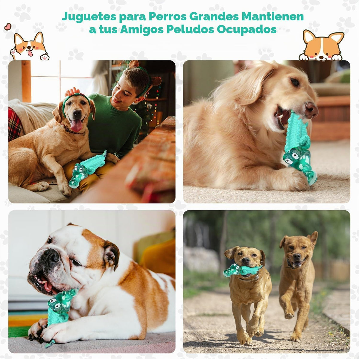 Fuufome - Juguetes masticables para perros masticadores moderados,...