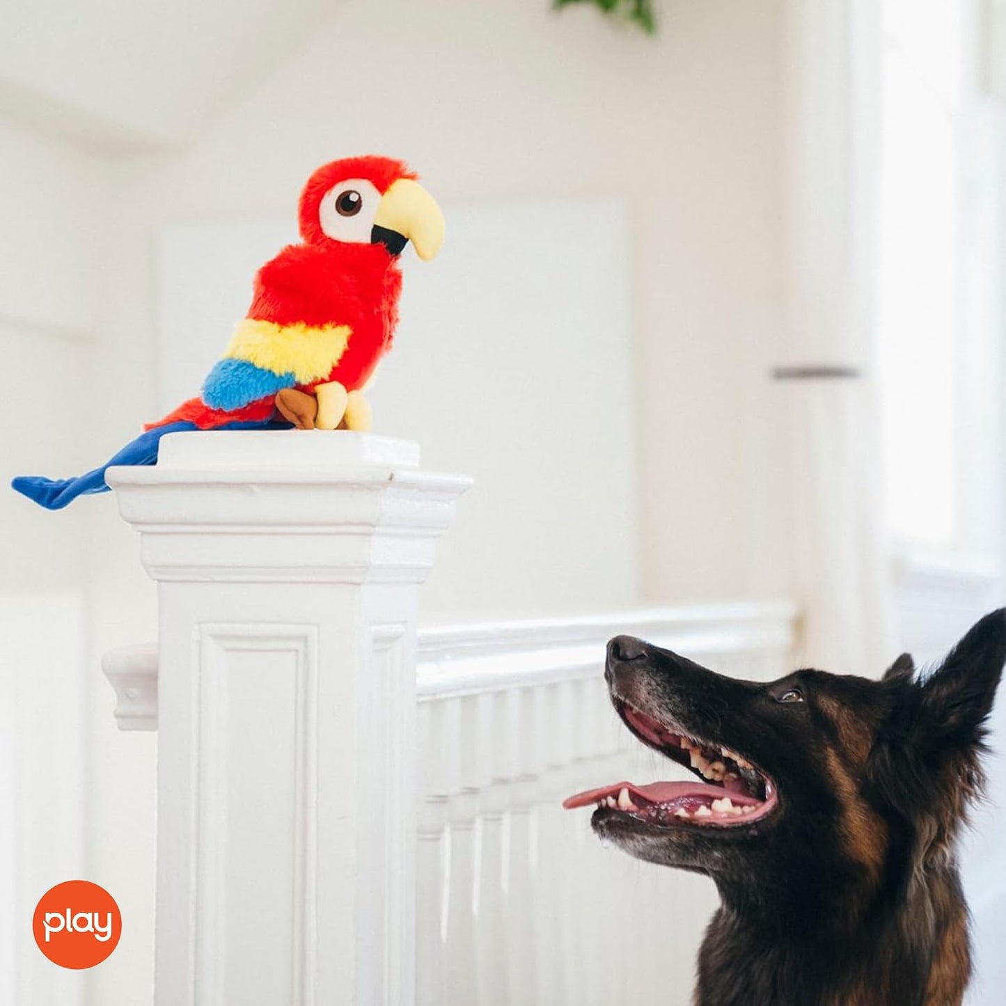 P.L.A.Y. - Bonitos juguetes de peluche para perros, rebaño para atr...