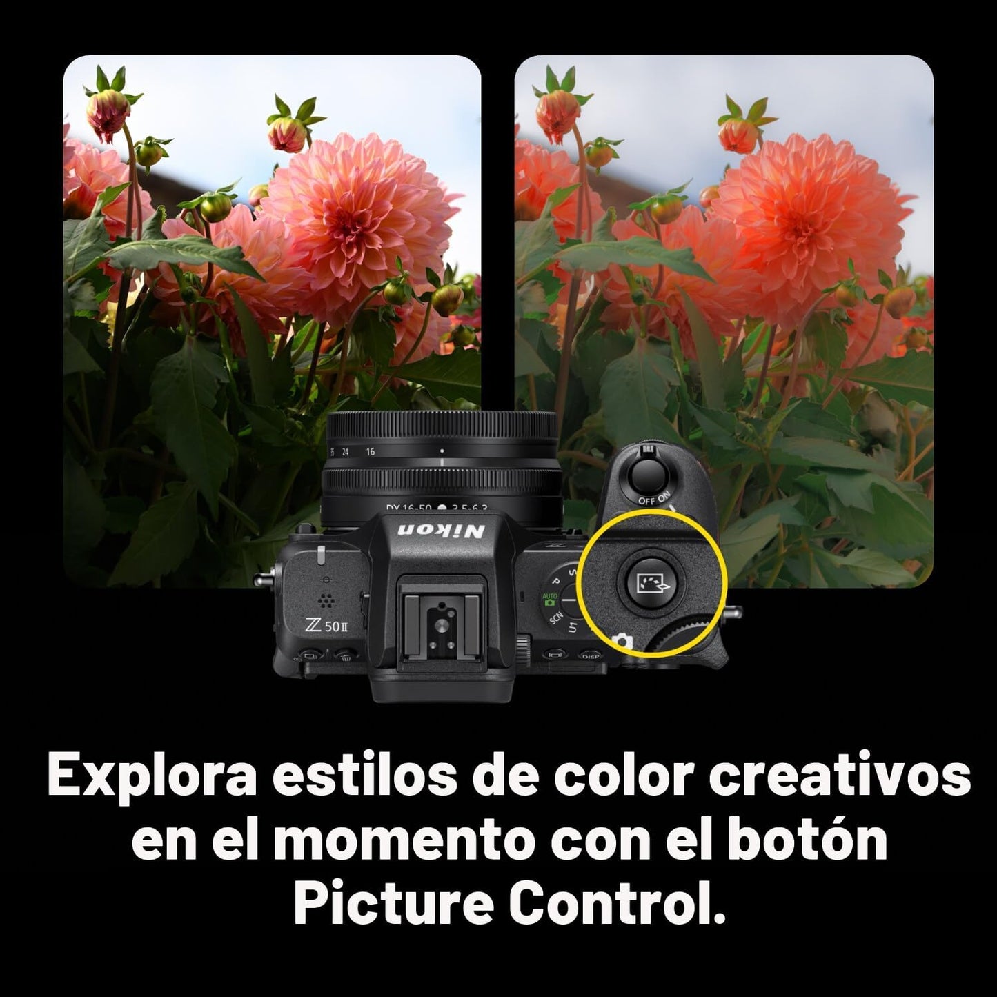 Nikon Z50 II con dos lentes | Cámara compacta sin espejo para fotos...