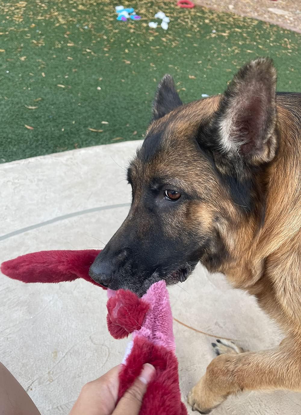 Jalousie Paquete de 5 juguetes de papel arrugado para perros sin re...