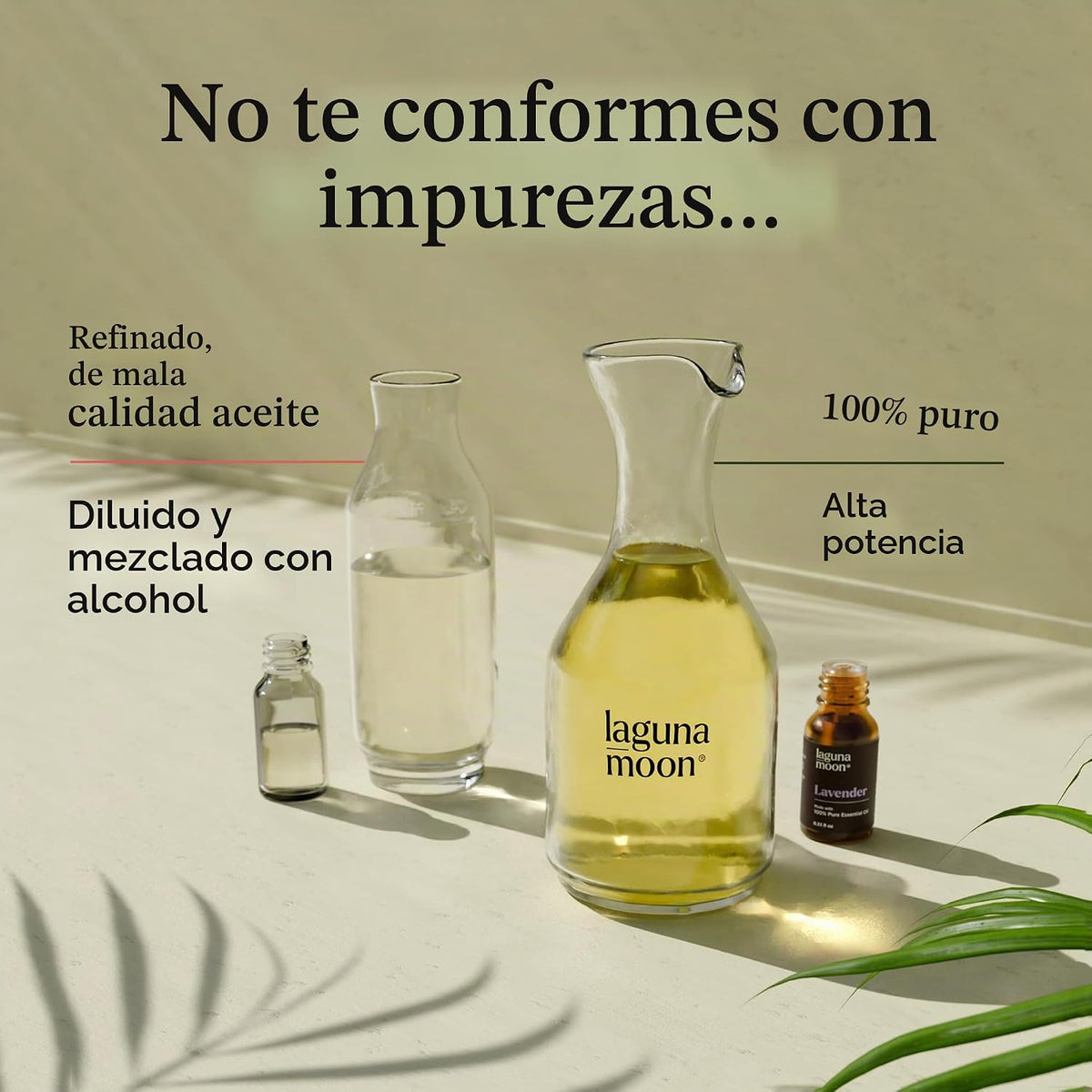 LagunaMoon - Paquete de 6 aceites esenciales con caja de regalo, me...