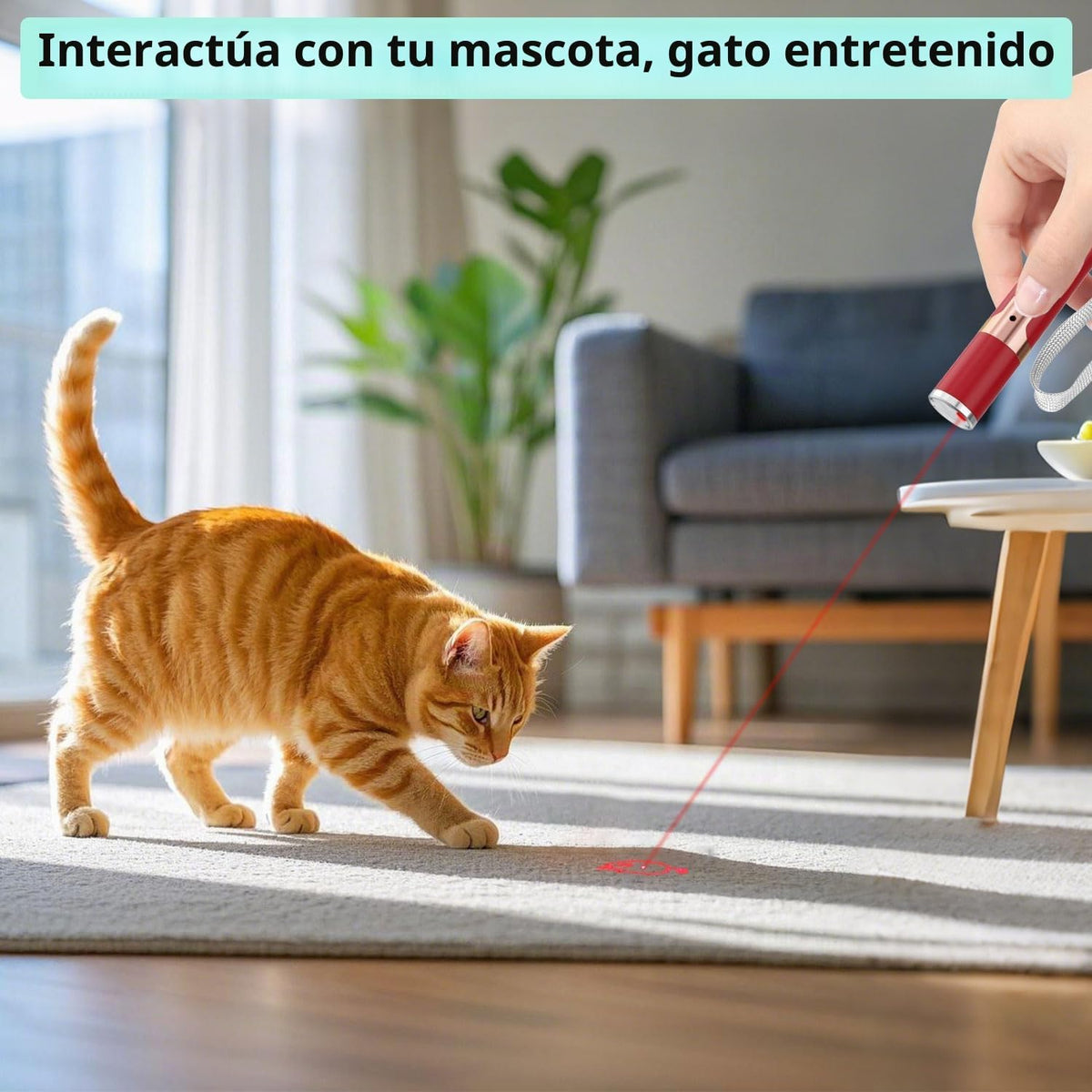 TBTeek Juguetes para gatos, con caja de metal, 2 piezas, recargable...