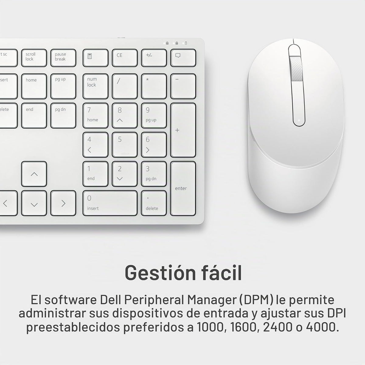 Dell Pro Keyboard and Mouse KM5221W - Inalámbrico, interfaz de 2.4...