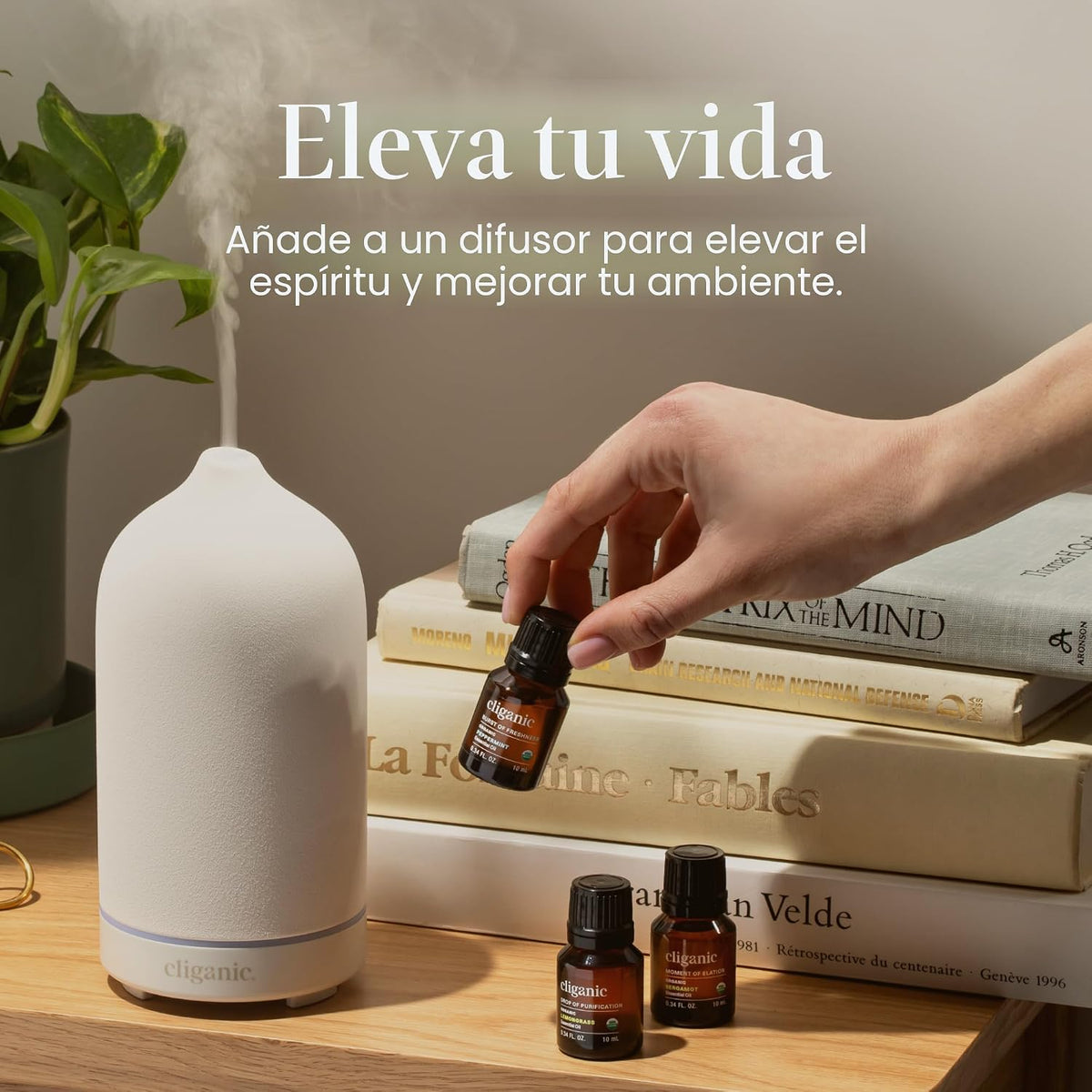 Cliganic Juego de aceites esenciales orgánicos (Top 5 - Los clásico...