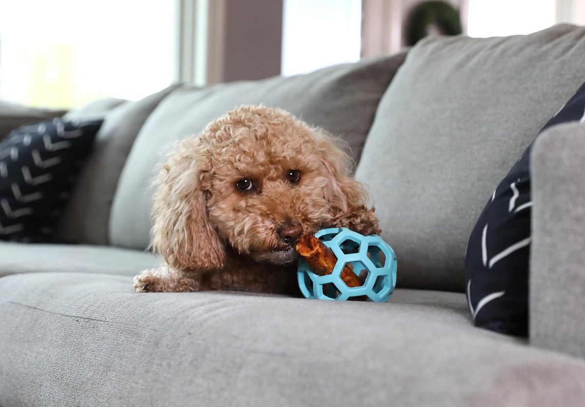 JW Pet HOL-ee Roller™, bola de rompecabezas de juguete para perros,...