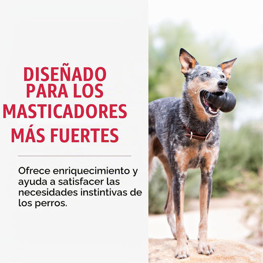 KONG Juguete Extremo para Perros - Juguete para Buscar y Masticar -...