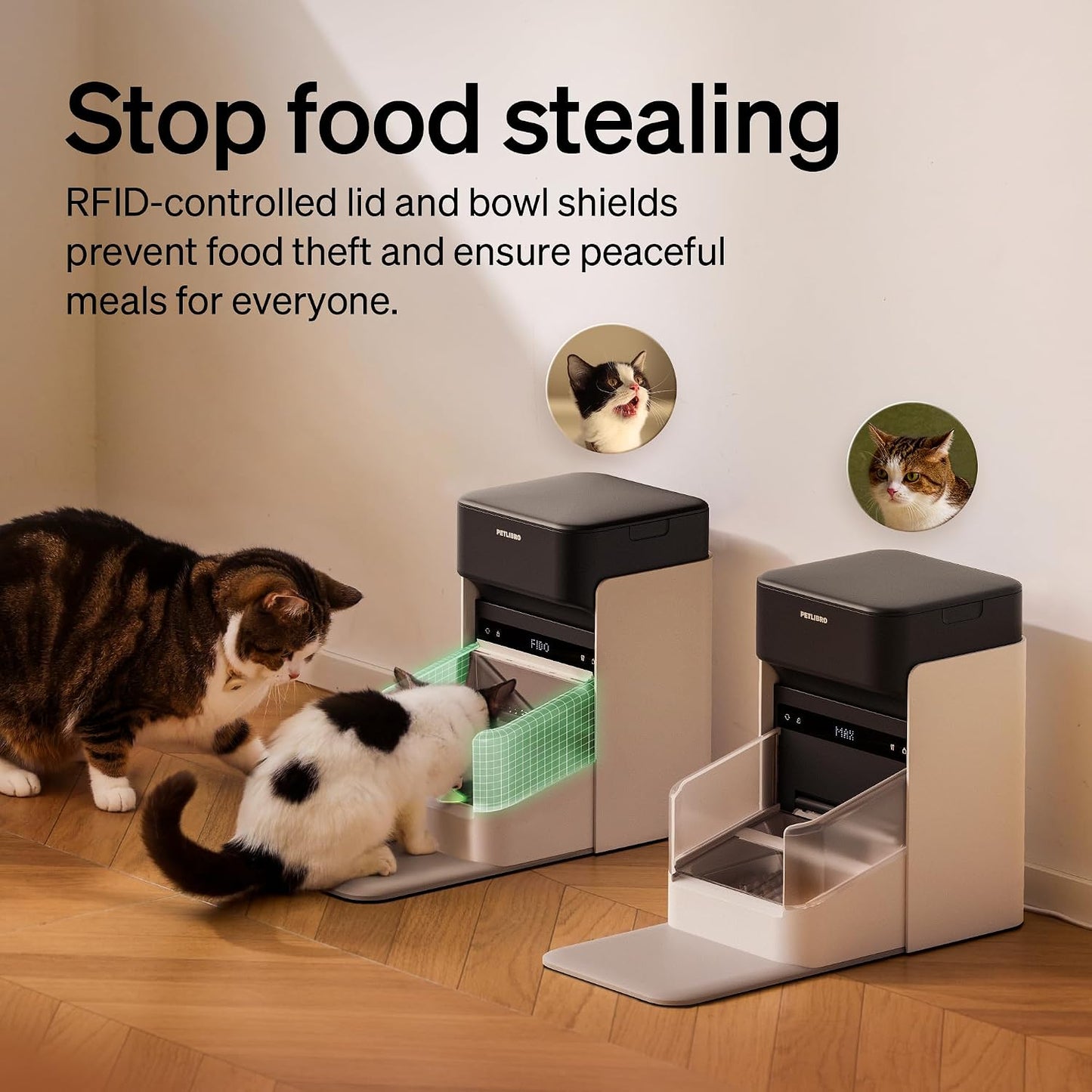 PETLIBRO Alimentador automático RFID para gatos, comidas personaliz...