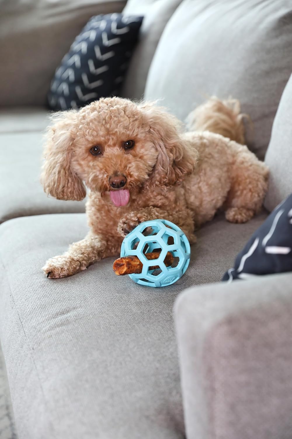 JW Pet HOL-ee Roller™, bola de rompecabezas de juguete para perros,...