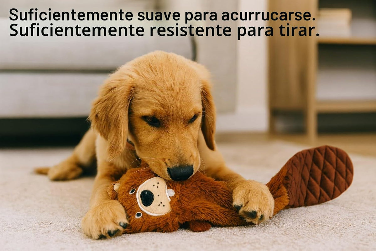 Jalousie Paquete de 5 juguetes chirriantes para perros sin relleno...