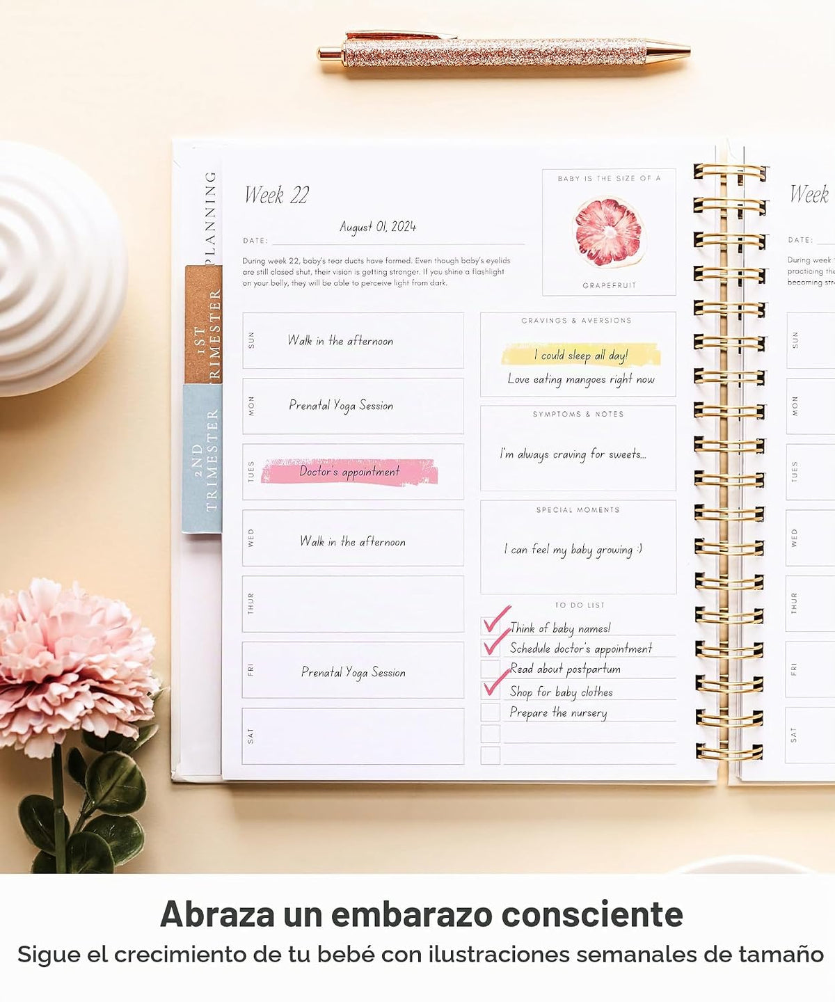 Lamare Diario de embarazo para madres primerizas 2026 - Álbum de re...